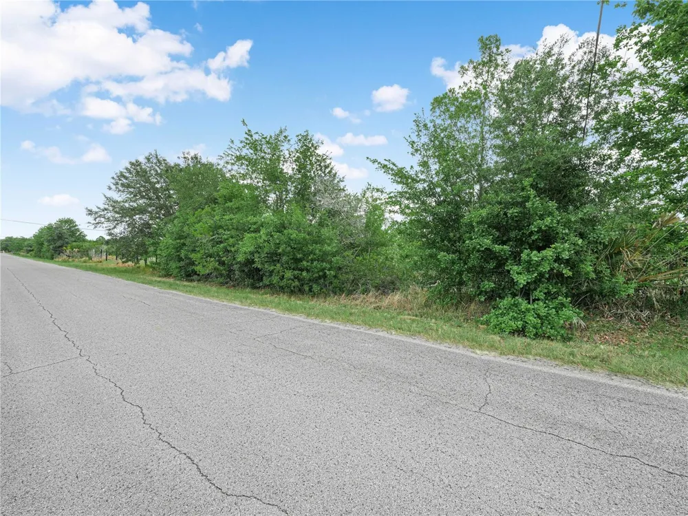 OAKRIDGE DRIVE Frostproof, FL 33843