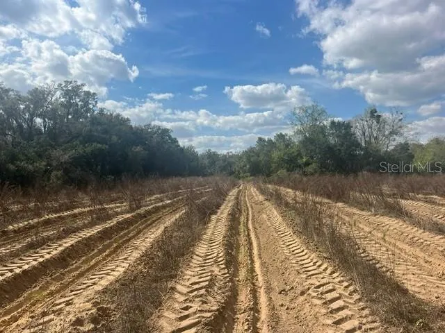 SE 132ND STREET Summerfield, FL 34491