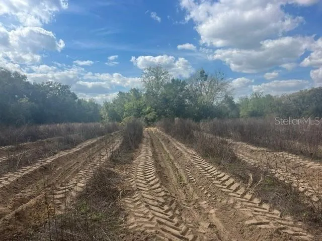 SE 132ND STREET Summerfield, FL 34491