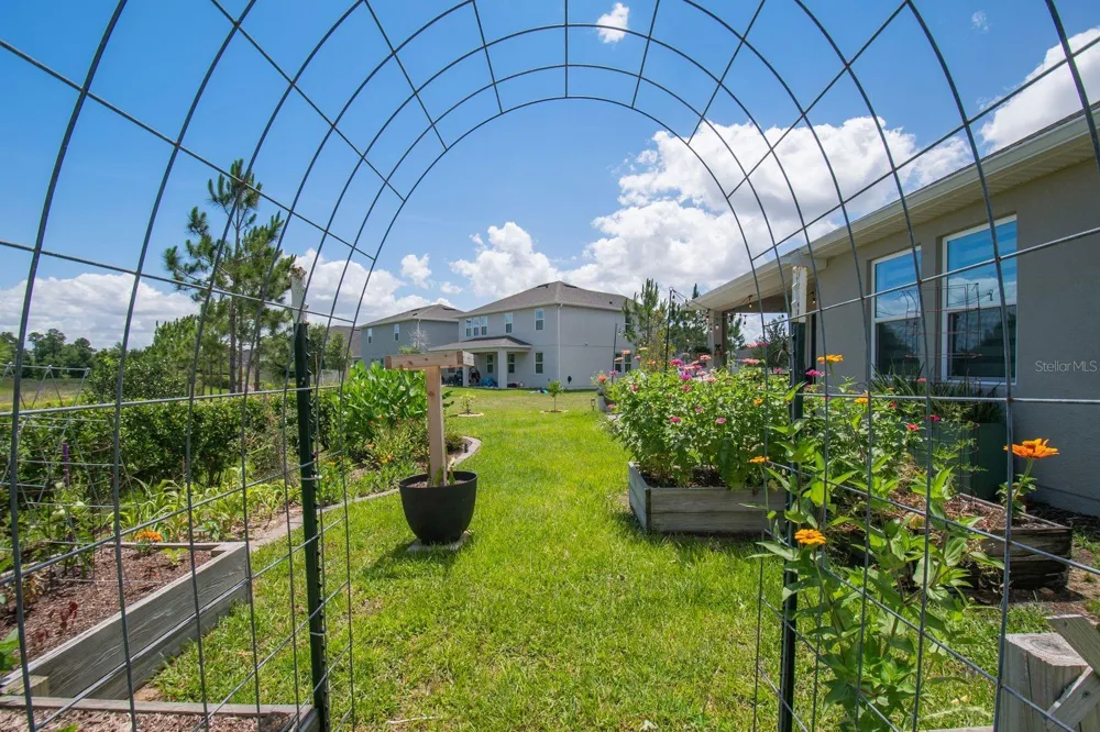 864 VINEYARD RIDGE ROAD Minneola, FL 34715