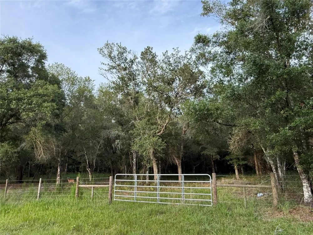 SE BROWN ROAD Arcadia, FL 34266