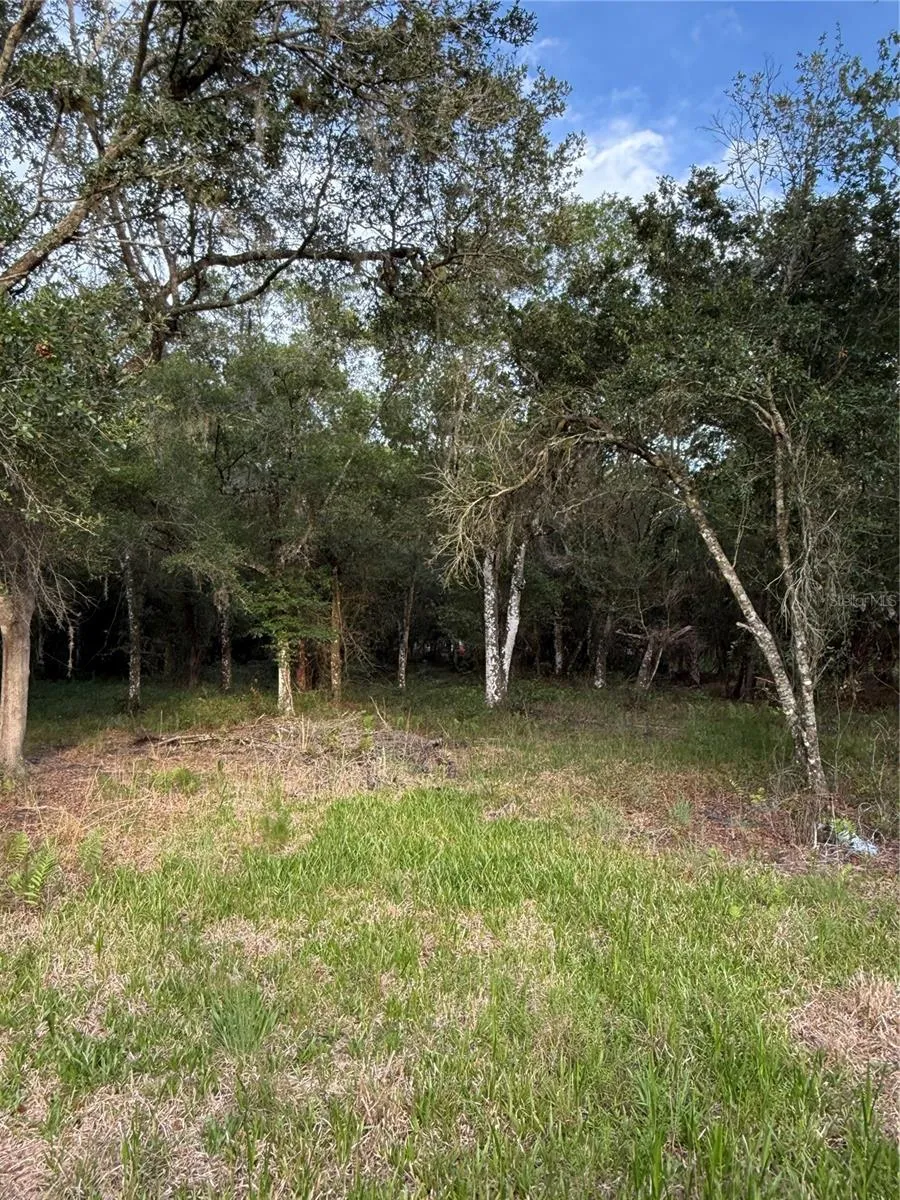 SE BROWN ROAD Arcadia, FL 34266