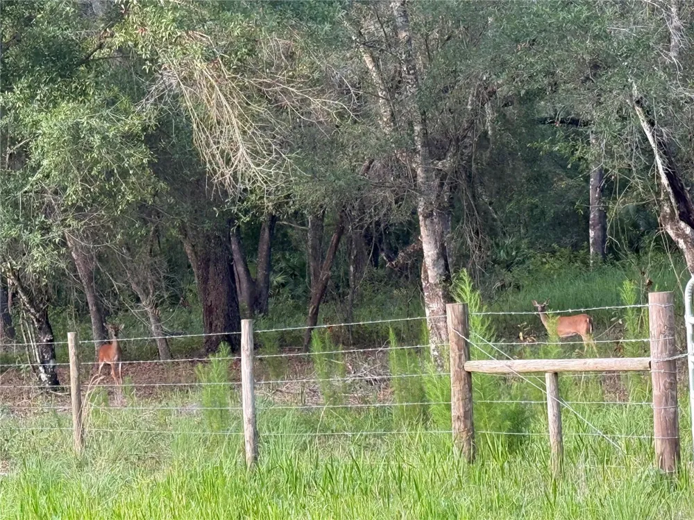 SE BROWN ROAD Arcadia, FL 34266