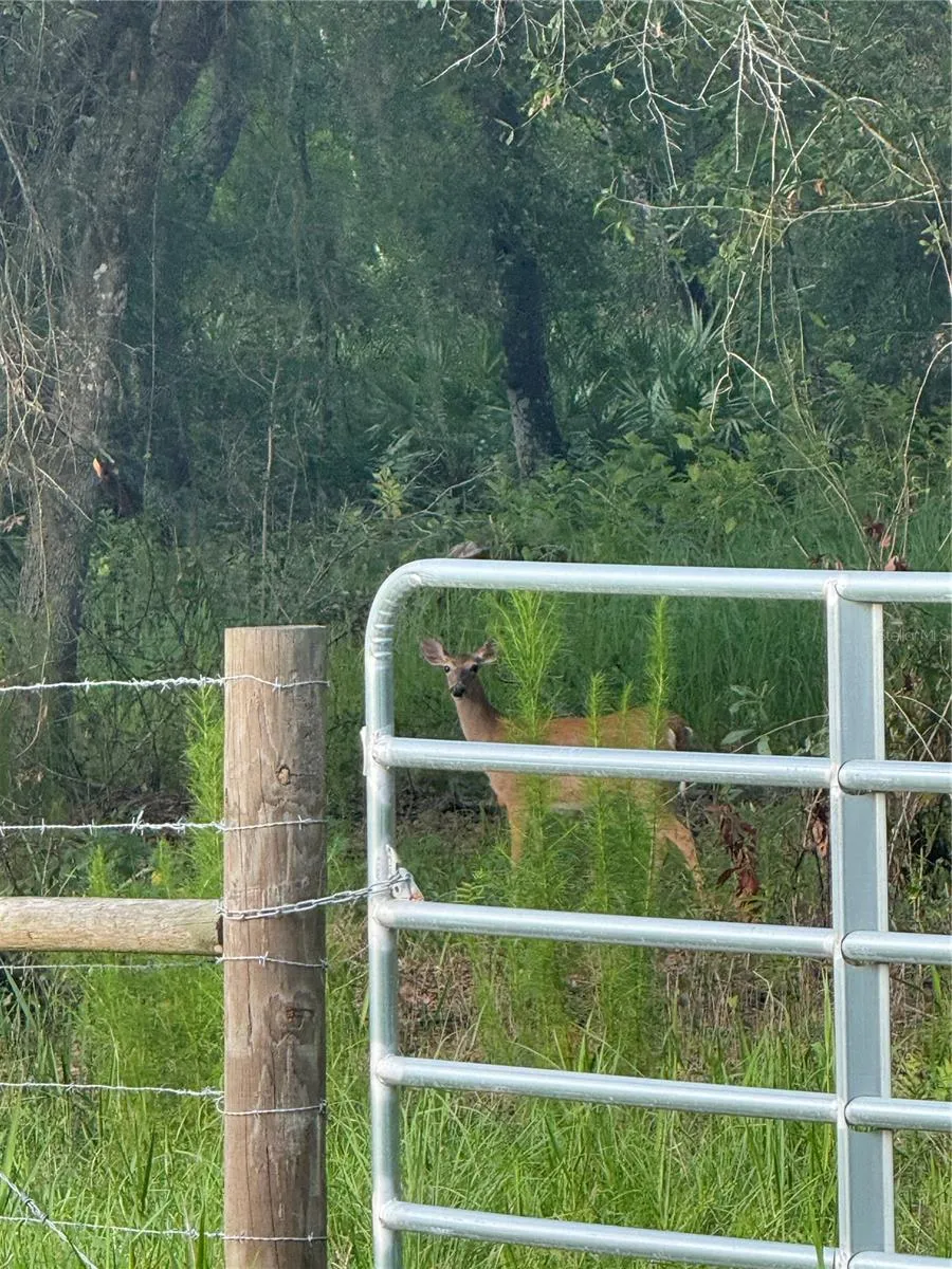 SE BROWN ROAD Arcadia, FL 34266