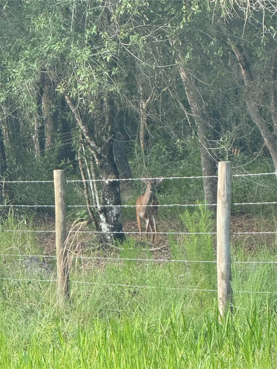 SE BROWN ROAD Arcadia, FL 34266