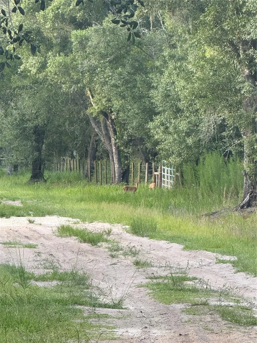 SE BROWN ROAD Arcadia, FL 34266