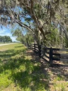 NE HWY 353 Old Town, FL 32680
