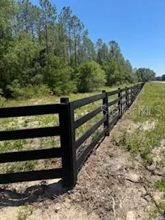 NE HWY 353 Old Town, FL 32680