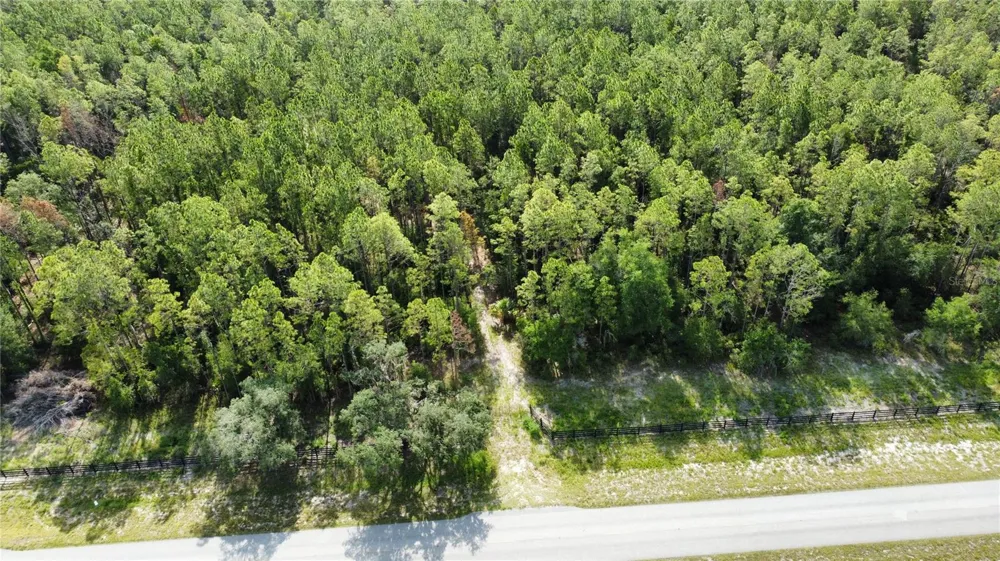 NE HWY 353 Old Town, FL 32680