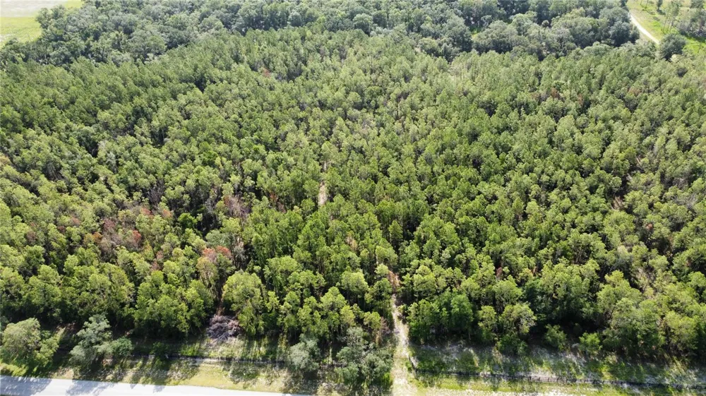 NE HWY 353 Old Town, FL 32680
