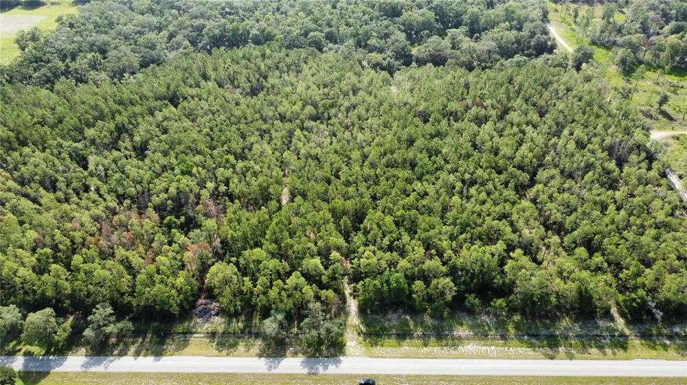 NE HWY 353 Old Town, FL 32680