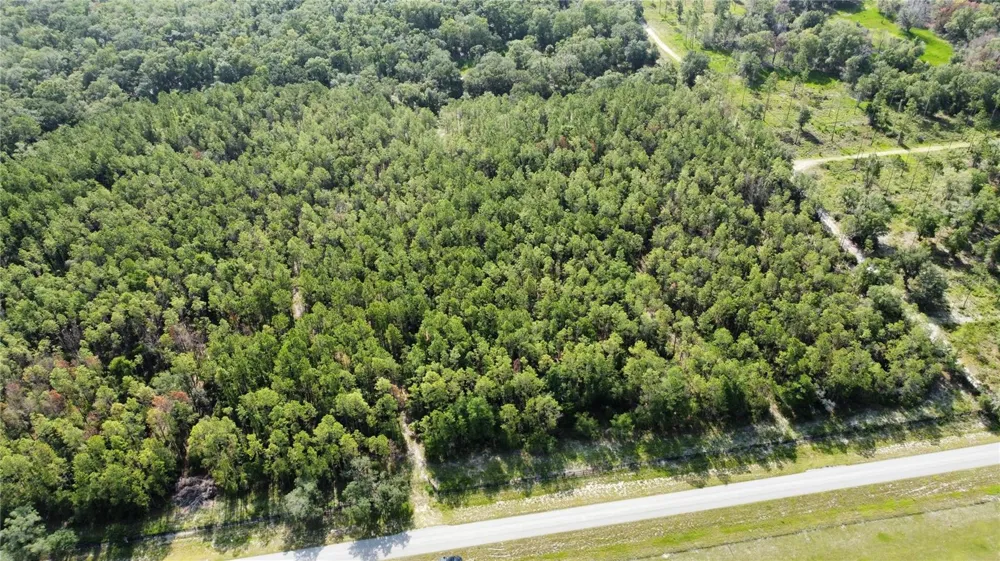 NE HWY 353 Old Town, FL 32680