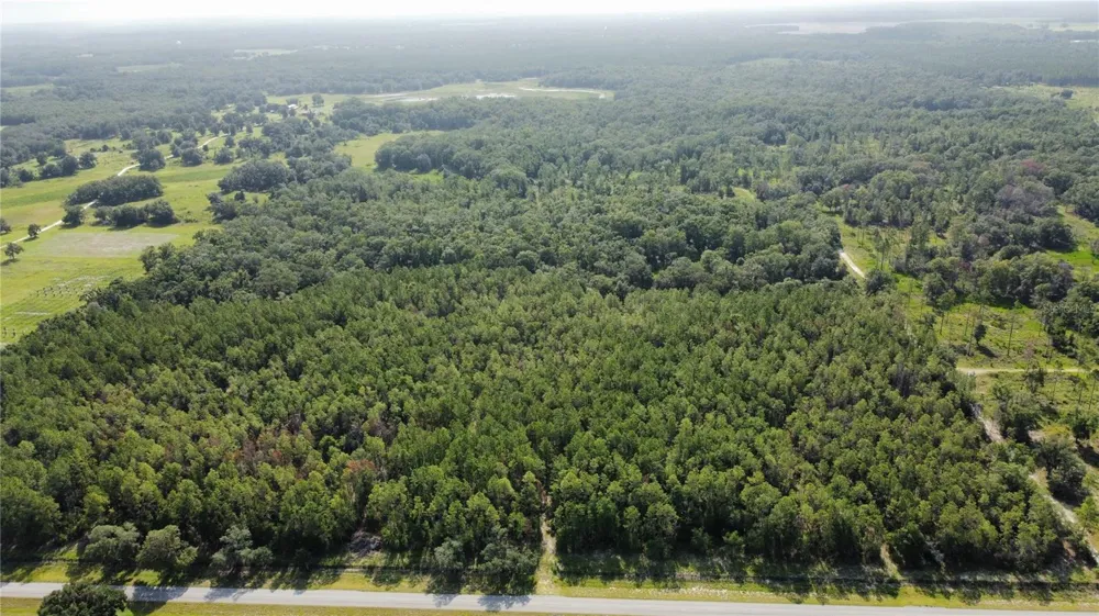 NE HWY 353 Old Town, FL 32680