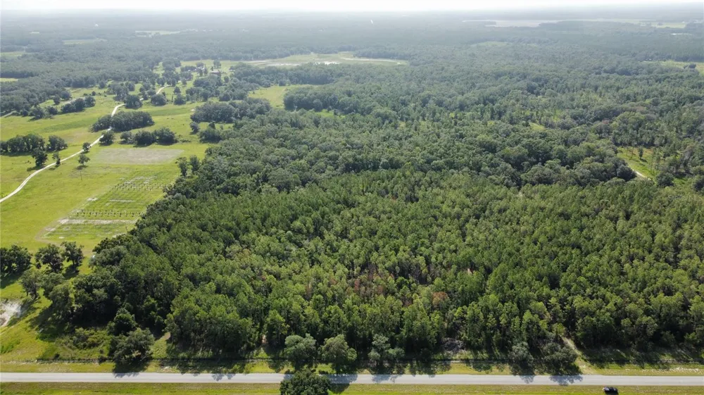 NE HWY 353 Old Town, FL 32680