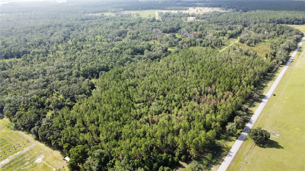 NE HWY 353 Old Town, FL 32680
