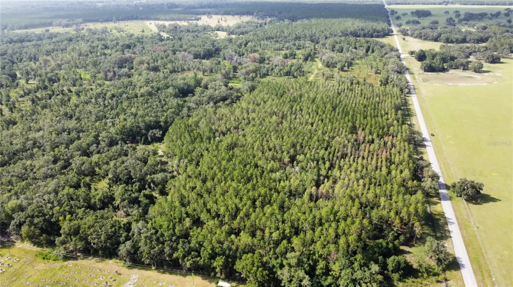 NE HWY 353 Old Town, FL 32680