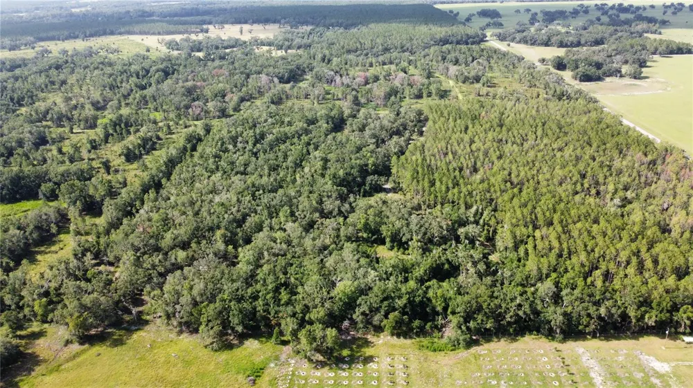 NE HWY 353 Old Town, FL 32680