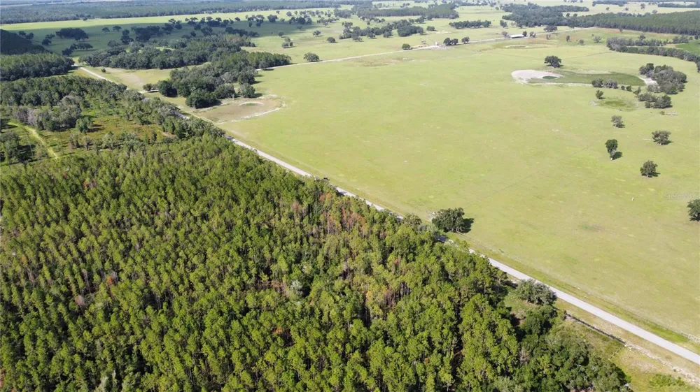 NE HWY 353 Old Town, FL 32680