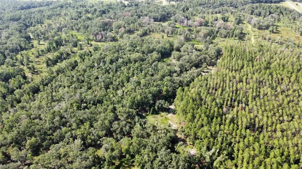 NE HWY 353 Old Town, FL 32680