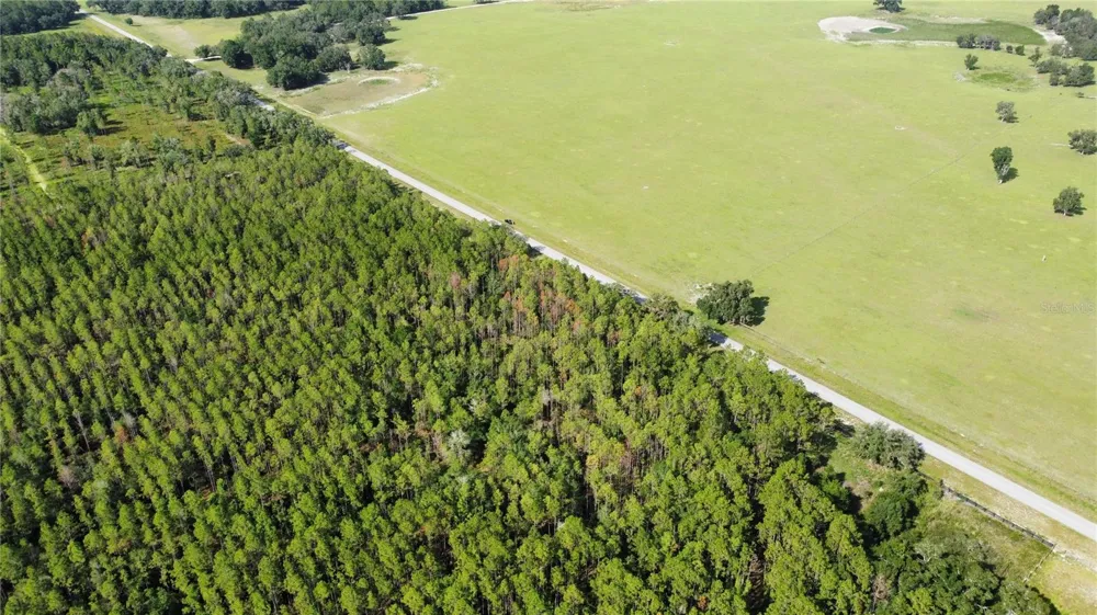 NE HWY 353 Old Town, FL 32680