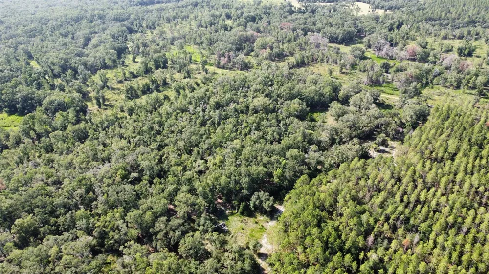 NE HWY 353 Old Town, FL 32680