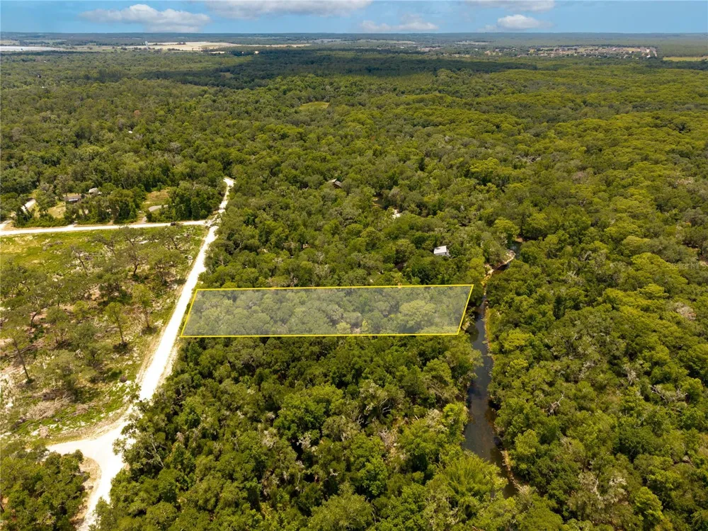 7353 RIVERVIEW DRIVE Webster, FL 33597