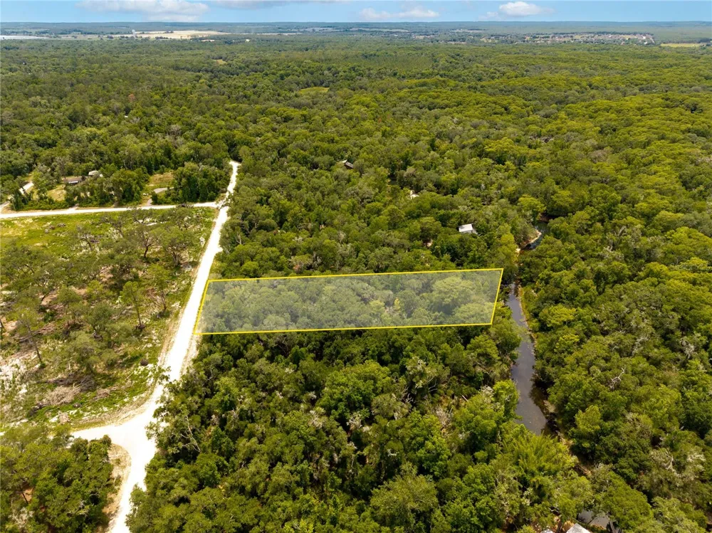 7353 RIVERVIEW DRIVE Webster, FL 33597