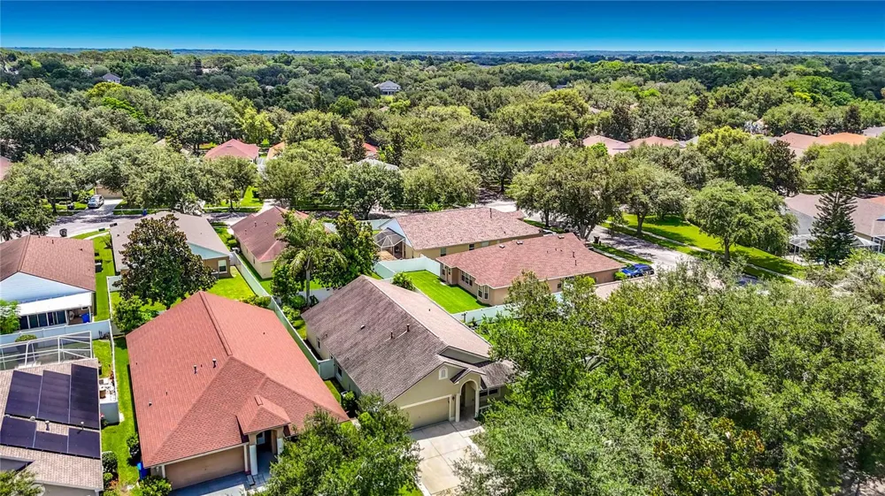 805 LESA GLEN PLACE Brandon, FL 33510