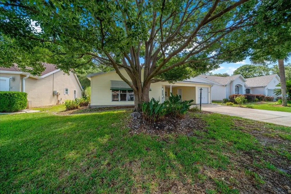 1133 DEL TORO DRIVE Lady Lake, FL 32159
