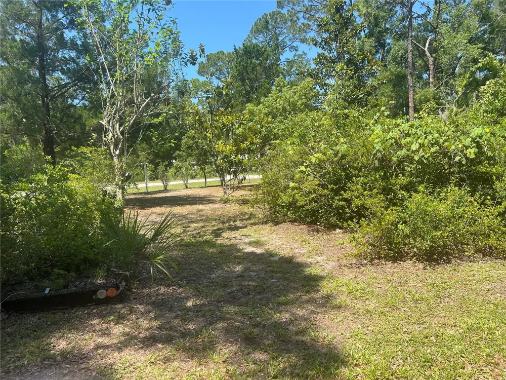 203 SE 45 AVENUE Cross City, FL 32628