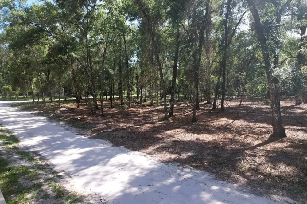 17792 SE 30TH AVENUE Summerfield, FL 34491