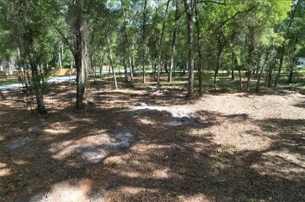 17792 SE 30TH AVENUE Summerfield, FL 34491
