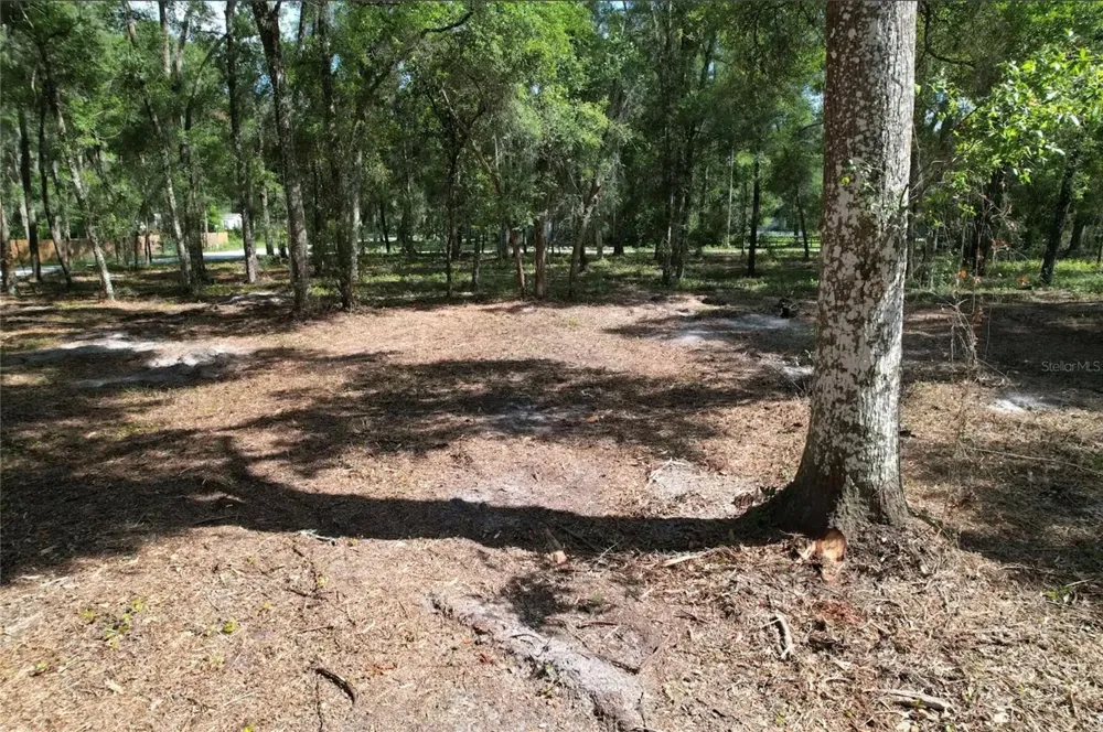17792 SE 30TH AVENUE Summerfield, FL 34491