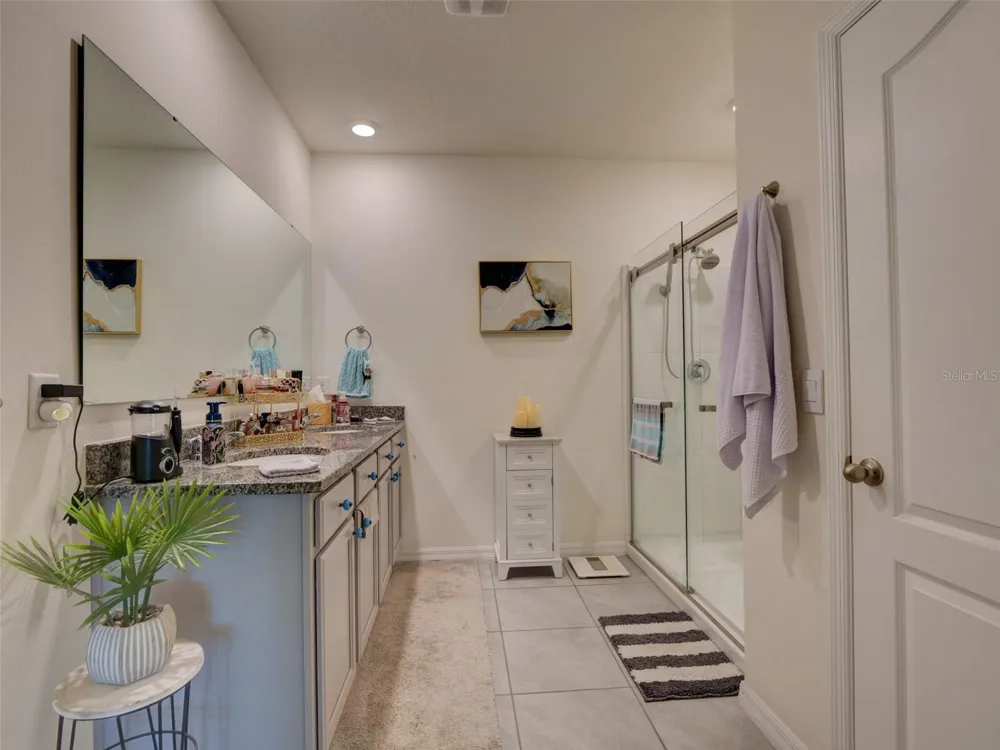 11244 AMBER RIDGE DRIVE Zellwood, FL 32798
