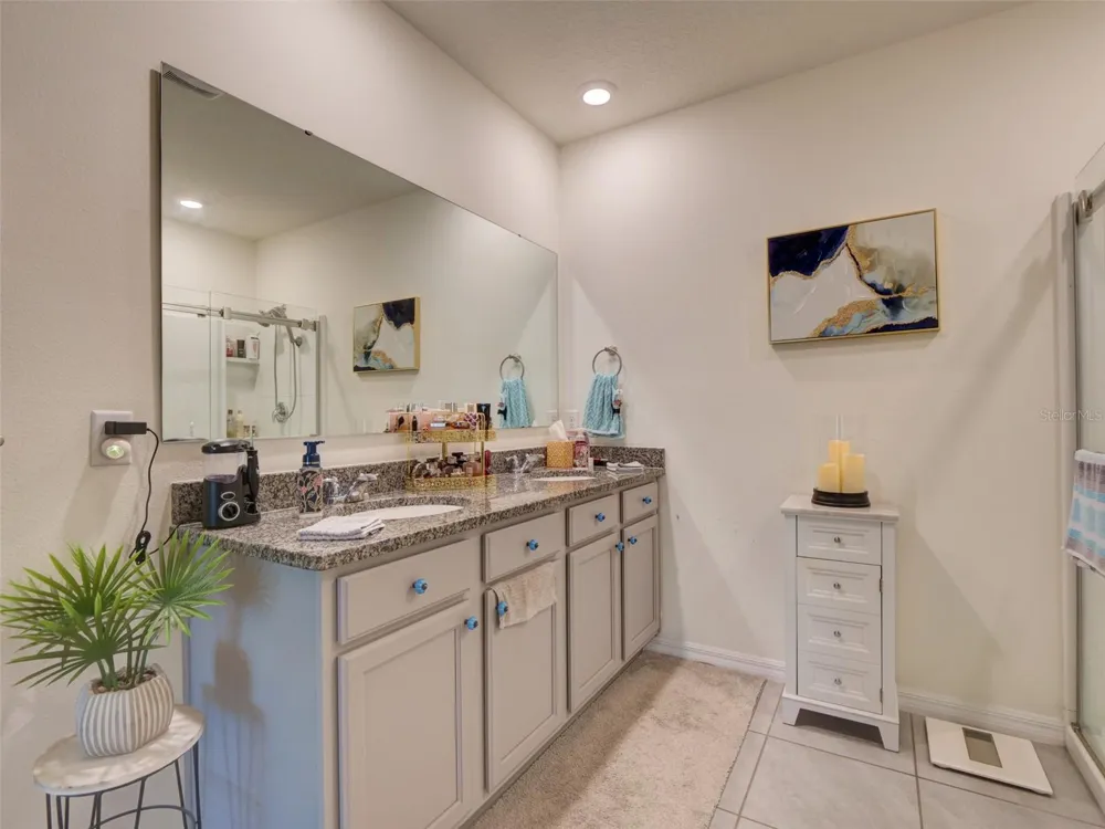 11244 AMBER RIDGE DRIVE Zellwood, FL 32798