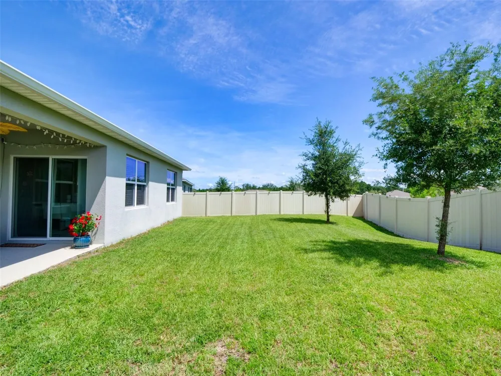 11244 AMBER RIDGE DRIVE Zellwood, FL 32798