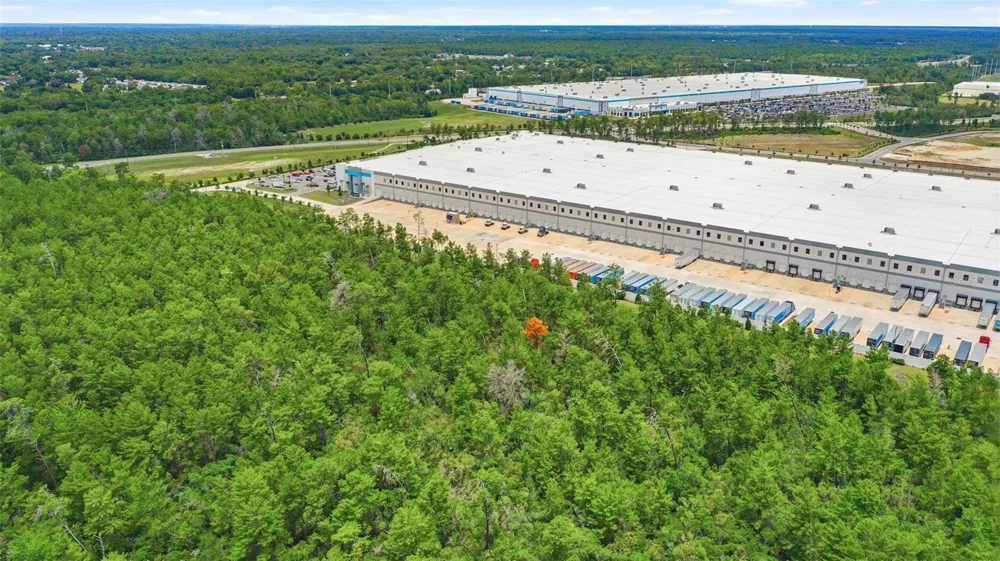 AMELIA (PAPER) AVENUE Deltona, FL 32725