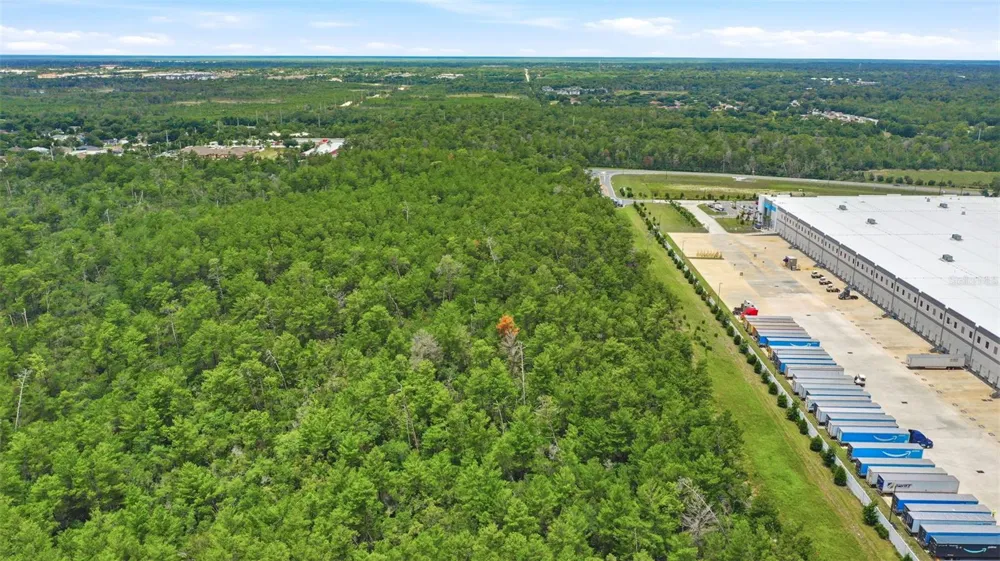 AMELIA (PAPER) AVENUE Deltona, FL 32725