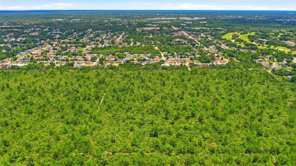 AMELIA (PAPER) AVENUE Deltona, FL 32725