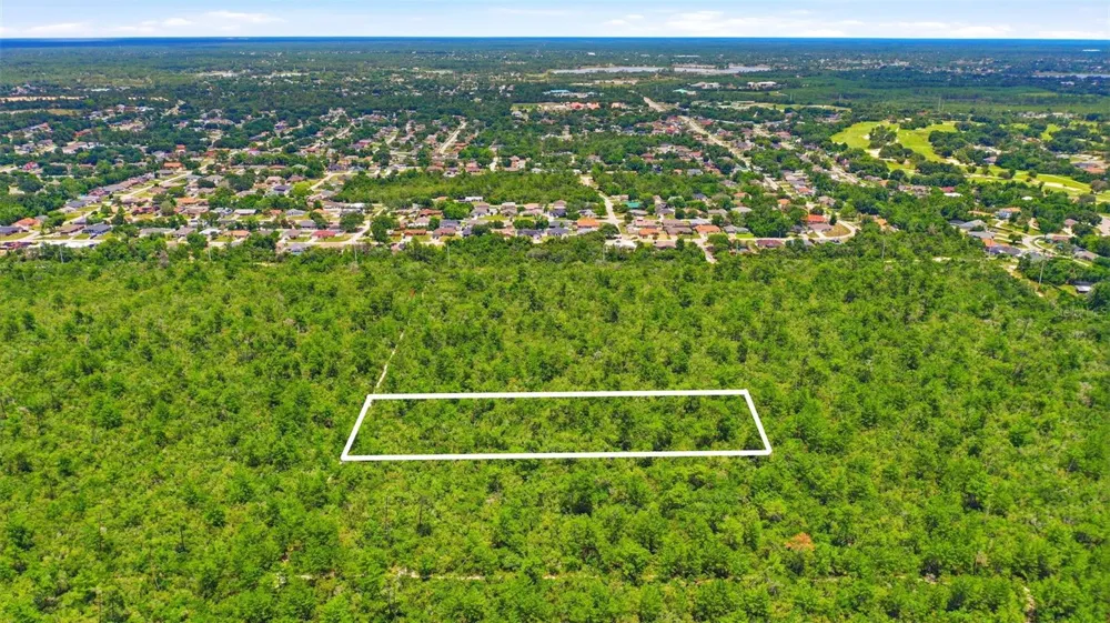 AMELIA (PAPER) AVENUE Deltona, FL 32725