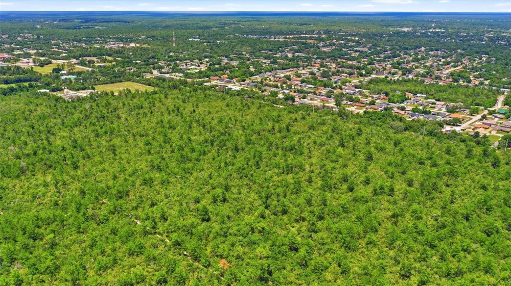 AMELIA (PAPER) AVENUE Deltona, FL 32725