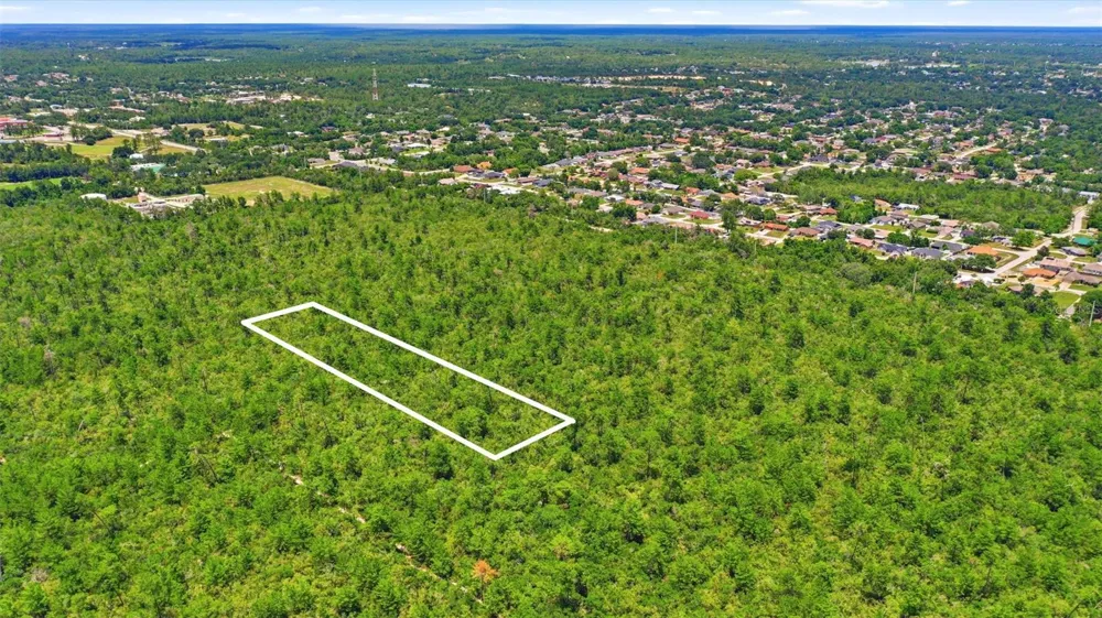 AMELIA (PAPER) AVENUE Deltona, FL 32725