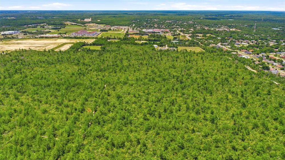 AMELIA (PAPER) AVENUE Deltona, FL 32725