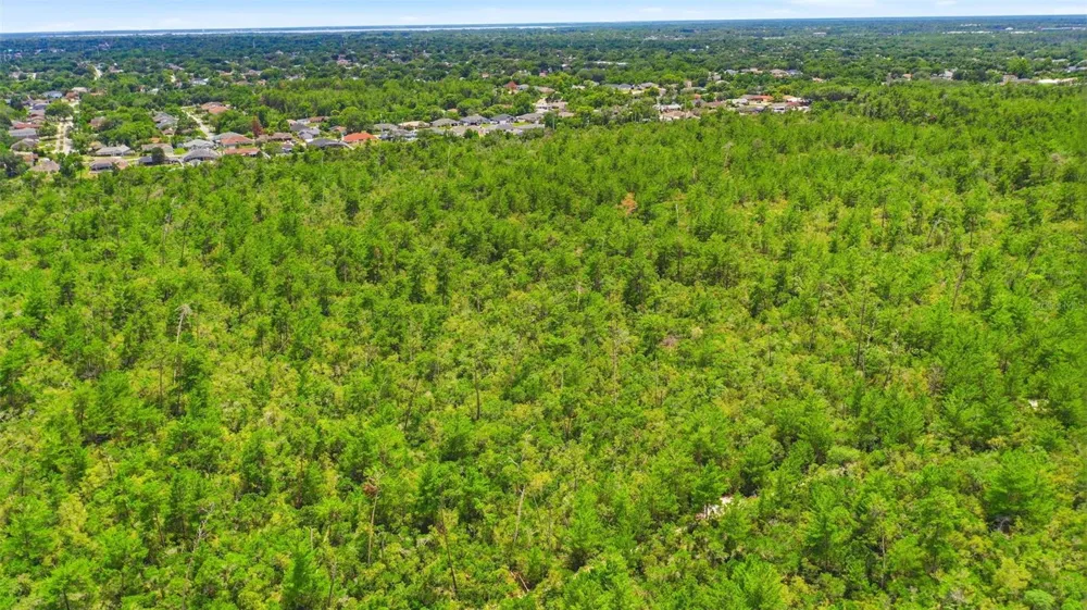 AMELIA (PAPER) AVENUE Deltona, FL 32725
