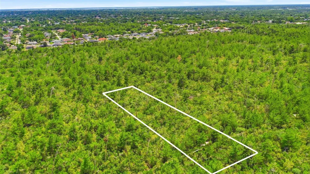 AMELIA (PAPER) AVENUE Deltona, FL 32725