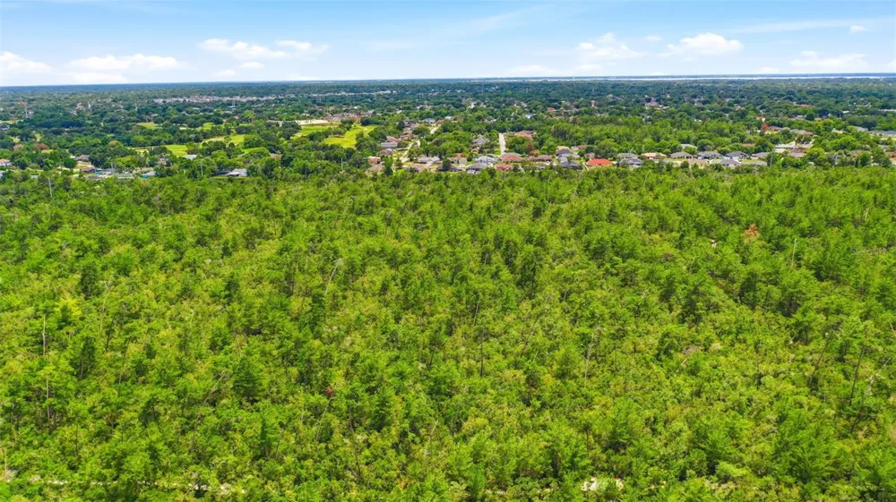 AMELIA (PAPER) AVENUE Deltona, FL 32725