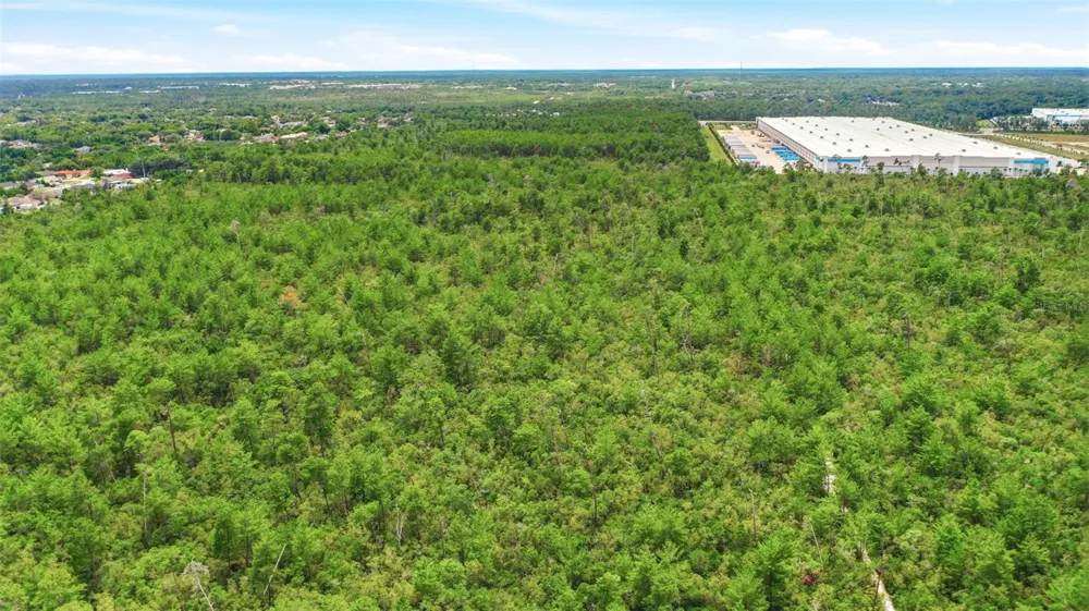 AMELIA (PAPER) AVENUE Deltona, FL 32725