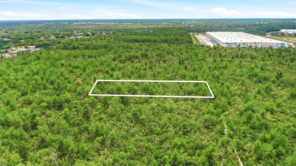 AMELIA (PAPER) AVENUE Deltona, FL 32725