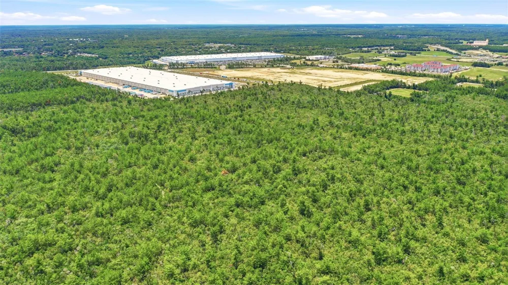 AMELIA (PAPER) AVENUE Deltona, FL 32725
