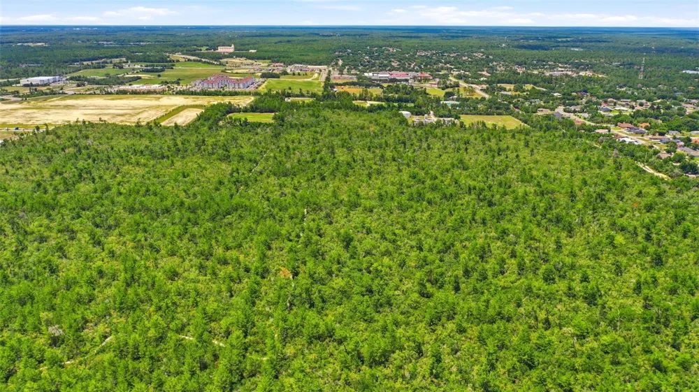MCBRIDE AVENUE Deltona, FL 32725